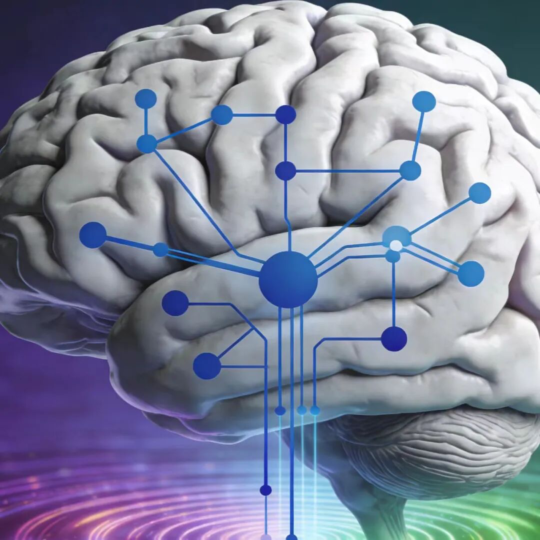 MIT打造端到端模型，能从底层神经生理活动直接涌现高层认知功能