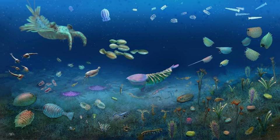 中国科学院南京地质古生物研究所发现5.12亿年前花垣生物群 揭开显生宙第一次生物大灭绝的面纱