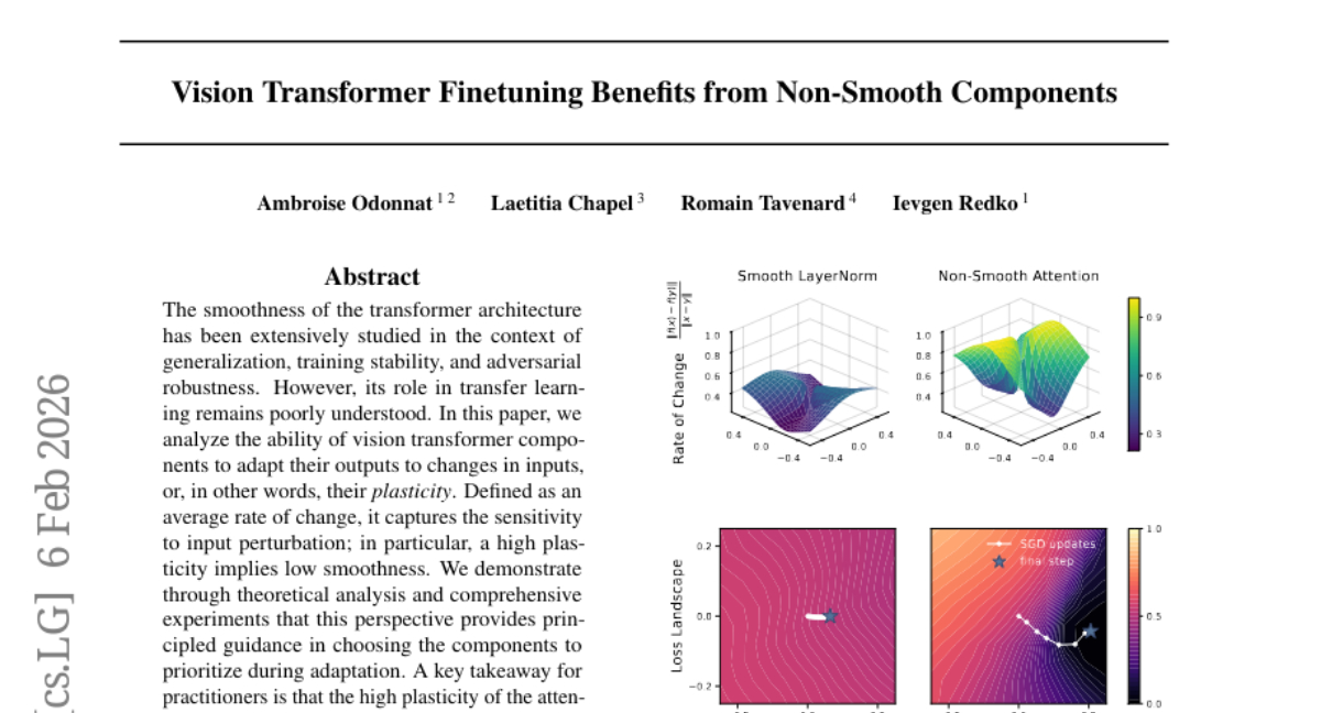 华为诺亚实验室：非平滑组件提升Vision Transformer学习效率
