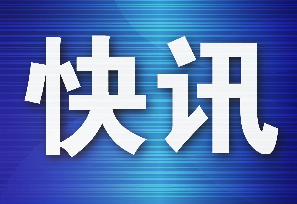 Seedance2.0到底有多能打？AI生成星海湾大桥上的狸花猫功夫如何