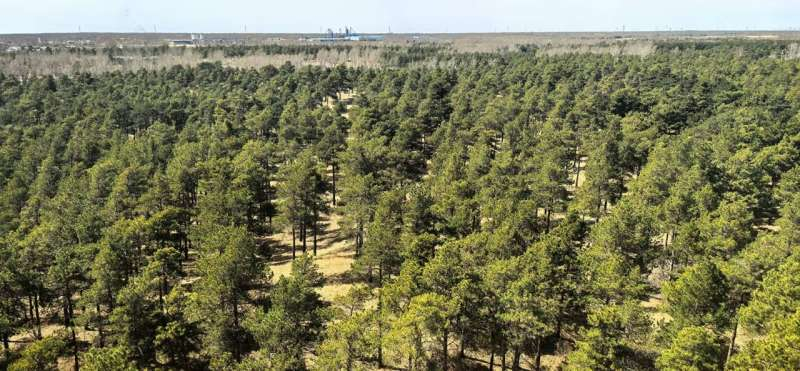 加州理工翁玉林团队证实，塔克拉玛干沙漠正向全球碳汇转型