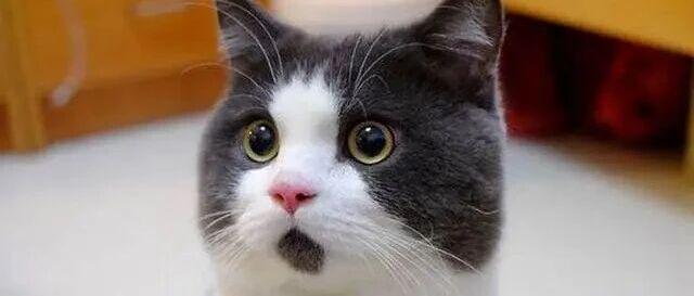 突然宣布：超1万亿利好