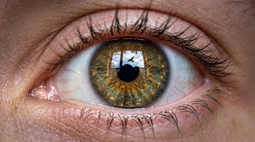 谷歌Nano Banana 2又刷屏了：又快又便宜，设计师当场破防