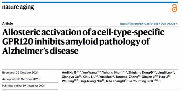 中国科研团队最新发现：黑米中的这对“黄金搭档”能改善认知功能，或可逆转阿尔茨海默病