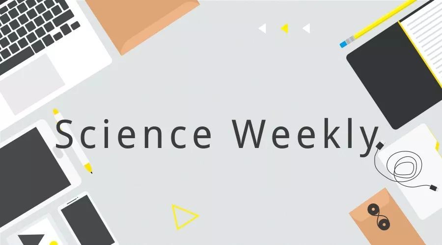 女性科学家为何“不愿”向顶刊投稿？