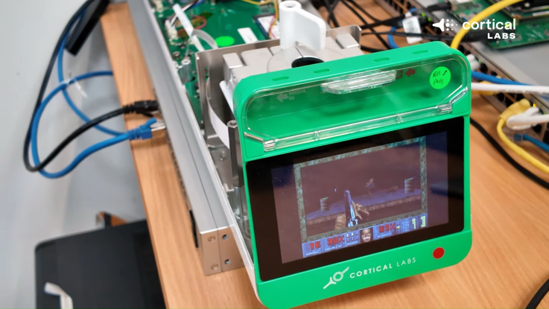 脑细胞组成的计算机跑起了《毁灭战士》!代码全部开源