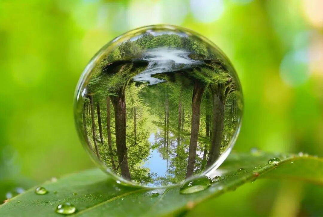 镜像分子生物学研究是否应被叫停？未来潘多拉魔盒还是科学宝库？