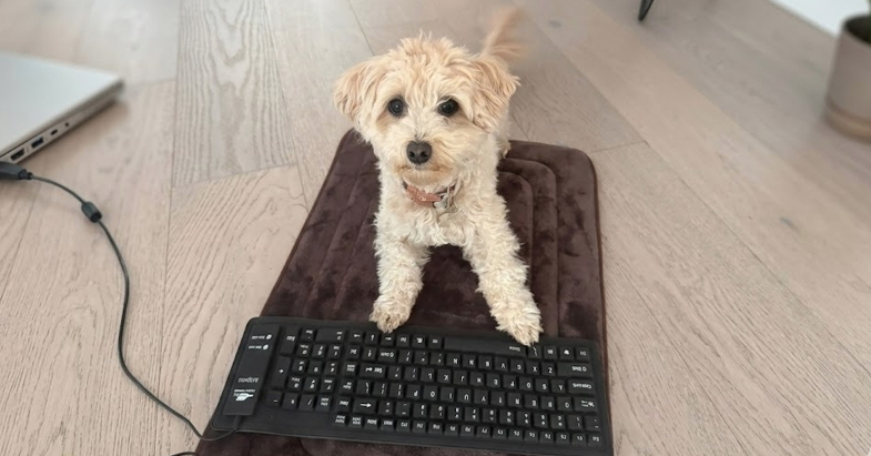 AI时代,一条狗也能做出游戏了