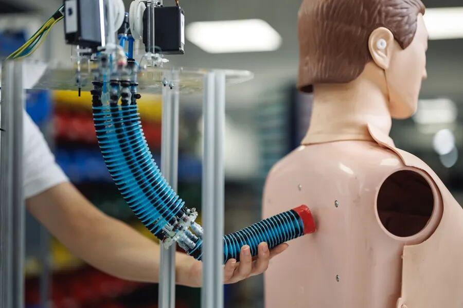 一次学习，终身适应：这套AI系统让软体机器人更像人