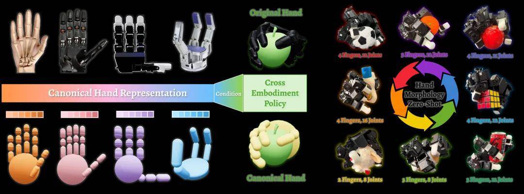 不同灵巧手，终于可以共用「一套大脑」了