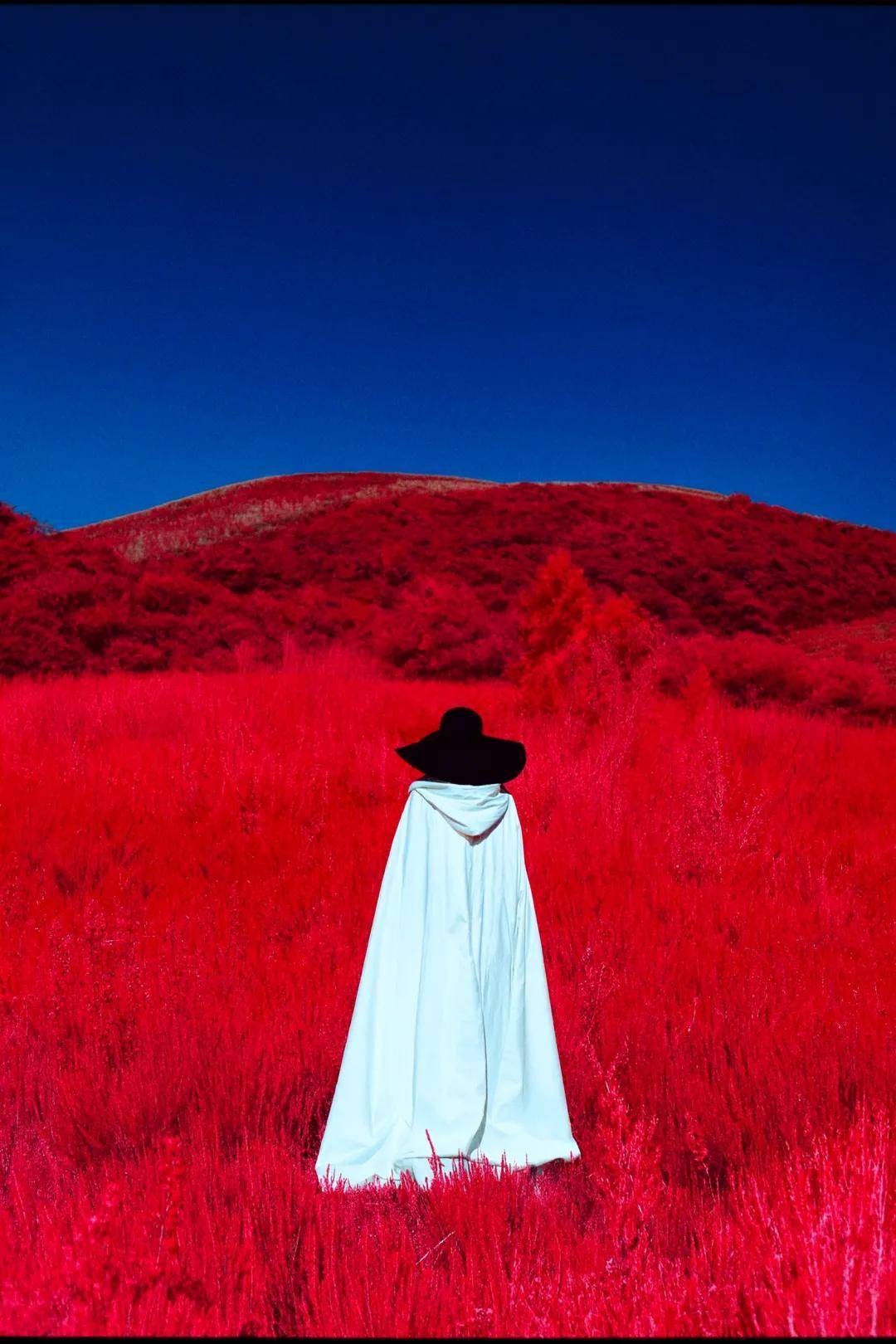 海外华人团队打造，统一理解与生成的图像模型，超越Nano banana