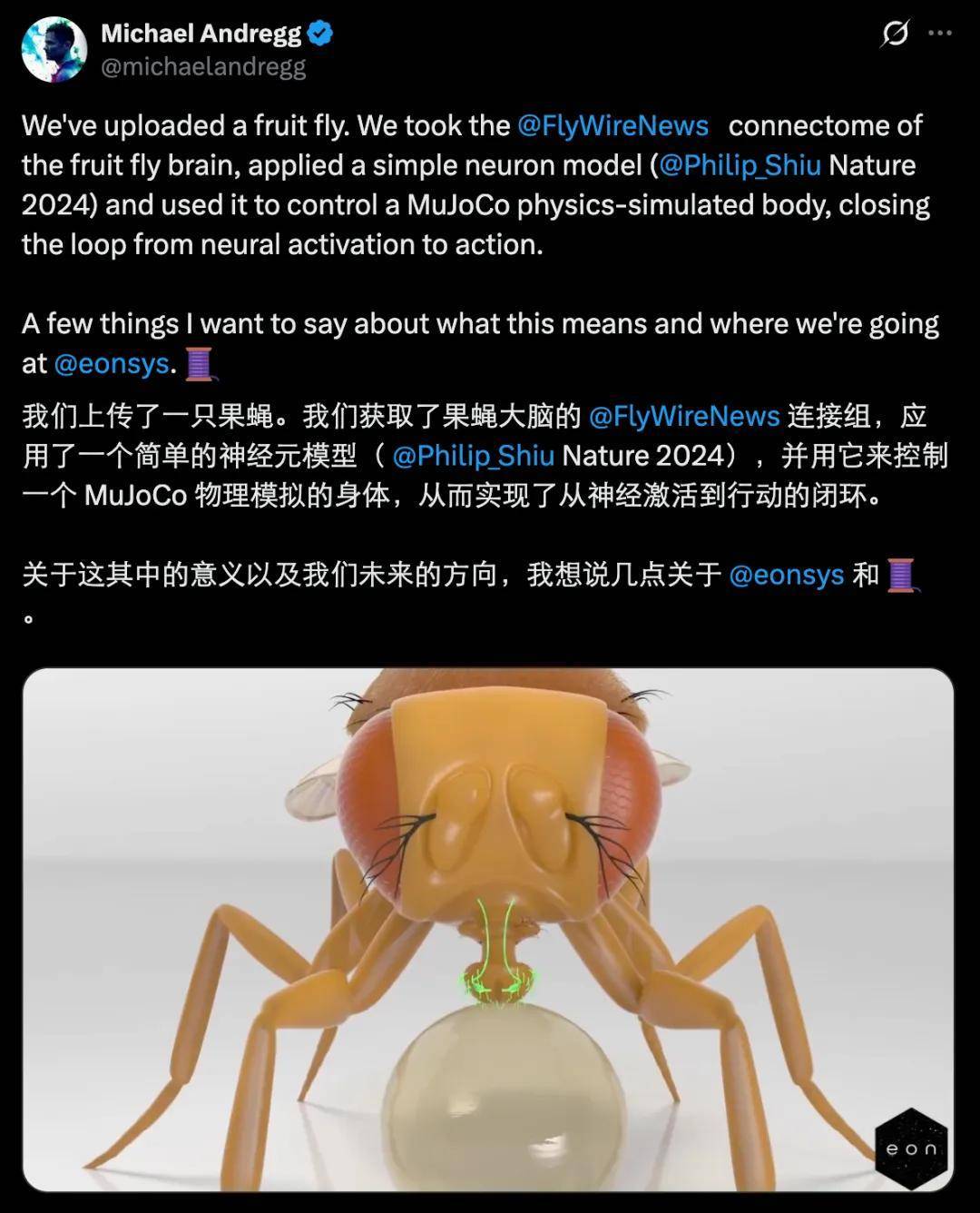 第一次，人类「上传」了一个大脑，并让它在虚拟世界活了起来