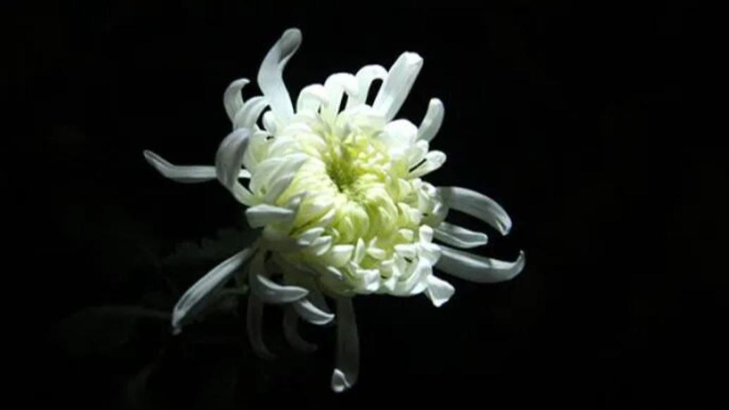 遥感科学专家、北师大教授张锦水逝世