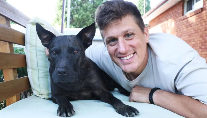 程序员用ChatGPT给狗设计疫苗,肿瘤真的缩小了,科学家都服了