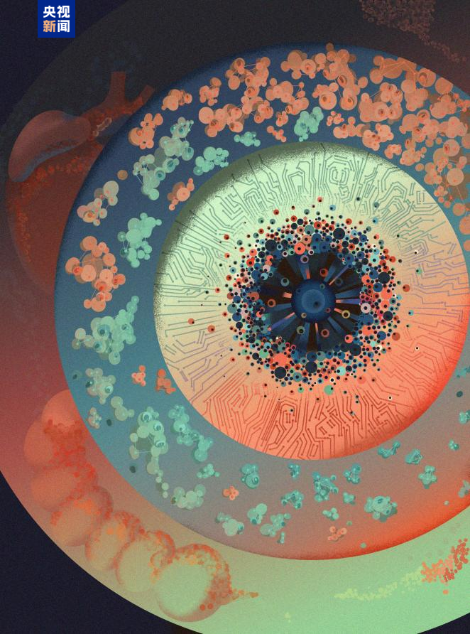 中外科学家成功构建可编程细胞分化与比例控制平台