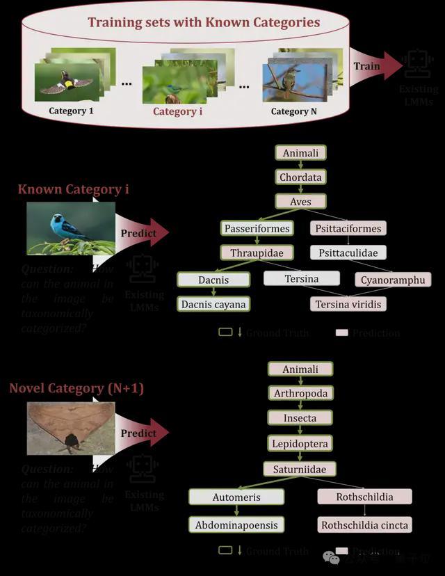 精准识别界门纲目科属种！北大彭宇新团队用细粒度树先验提升泛化