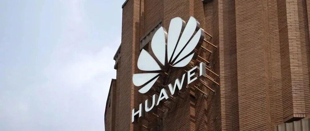 王云鹤离职,曾任华为诺亚方舟实验室主任