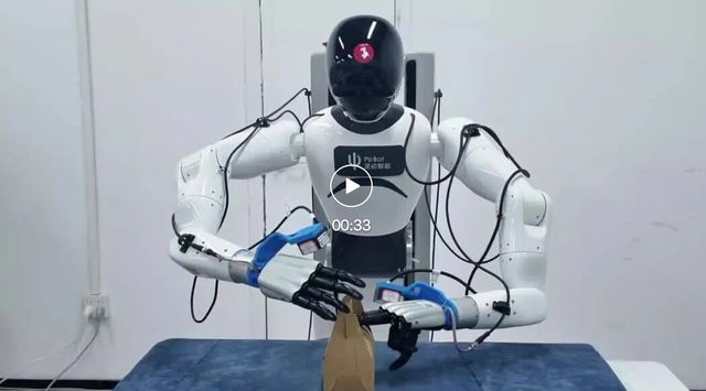 中国具身模型狂揽全球第一!机器人的人类数据时代来了