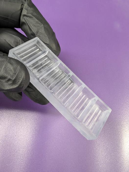 3D打印系统可快速培育更复杂肠道类器官