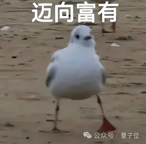 英伟达薪资曝光：最贵的不是AI研究员，基本工资200万/年的扎堆