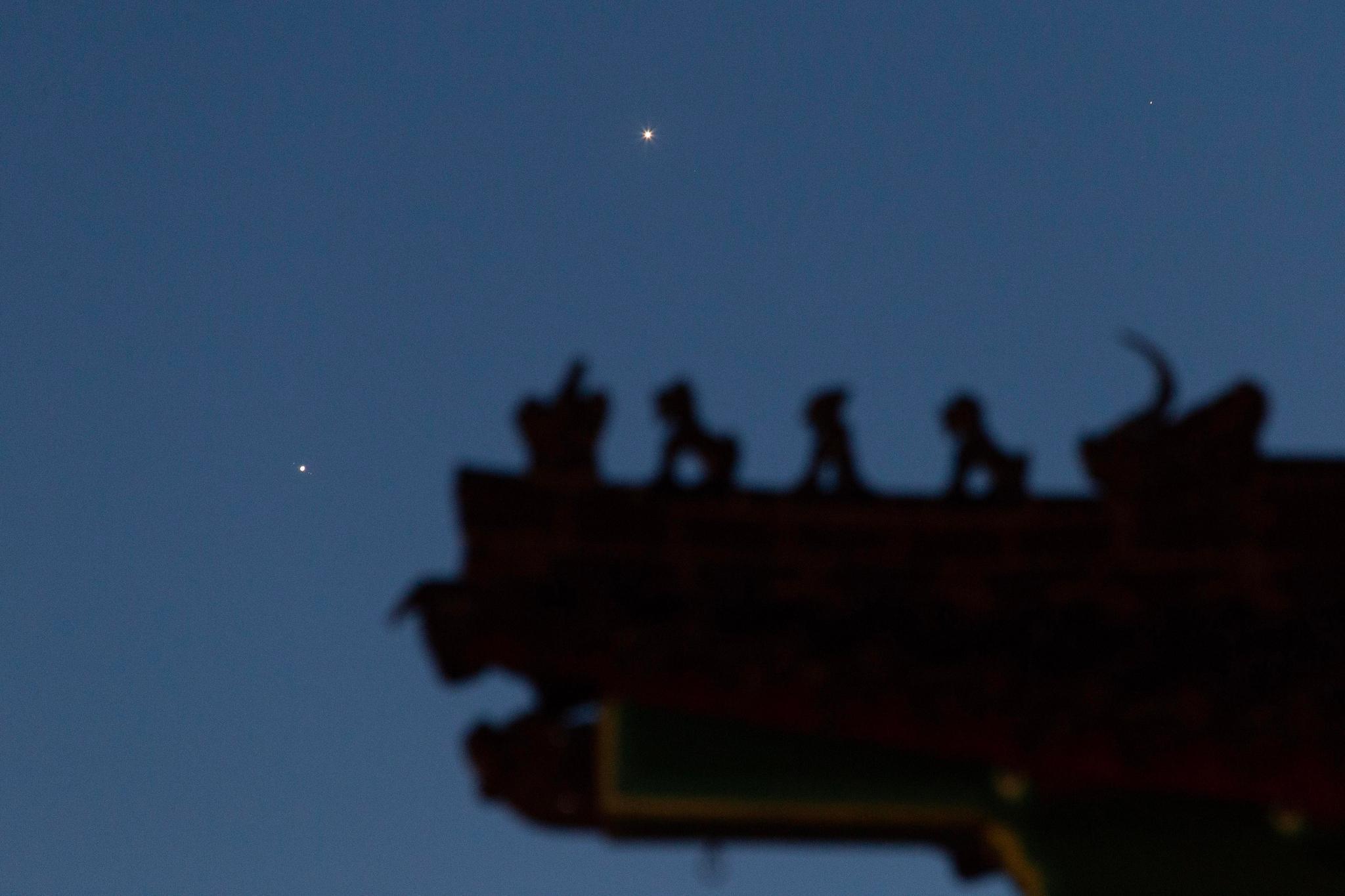 星空相册丨天宇上演金星合木星