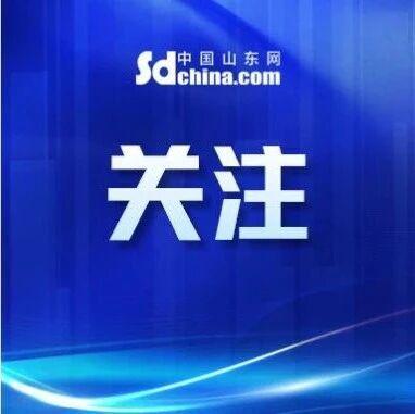 国家标准走基层!山东以标准赋能AI产业高质量发展