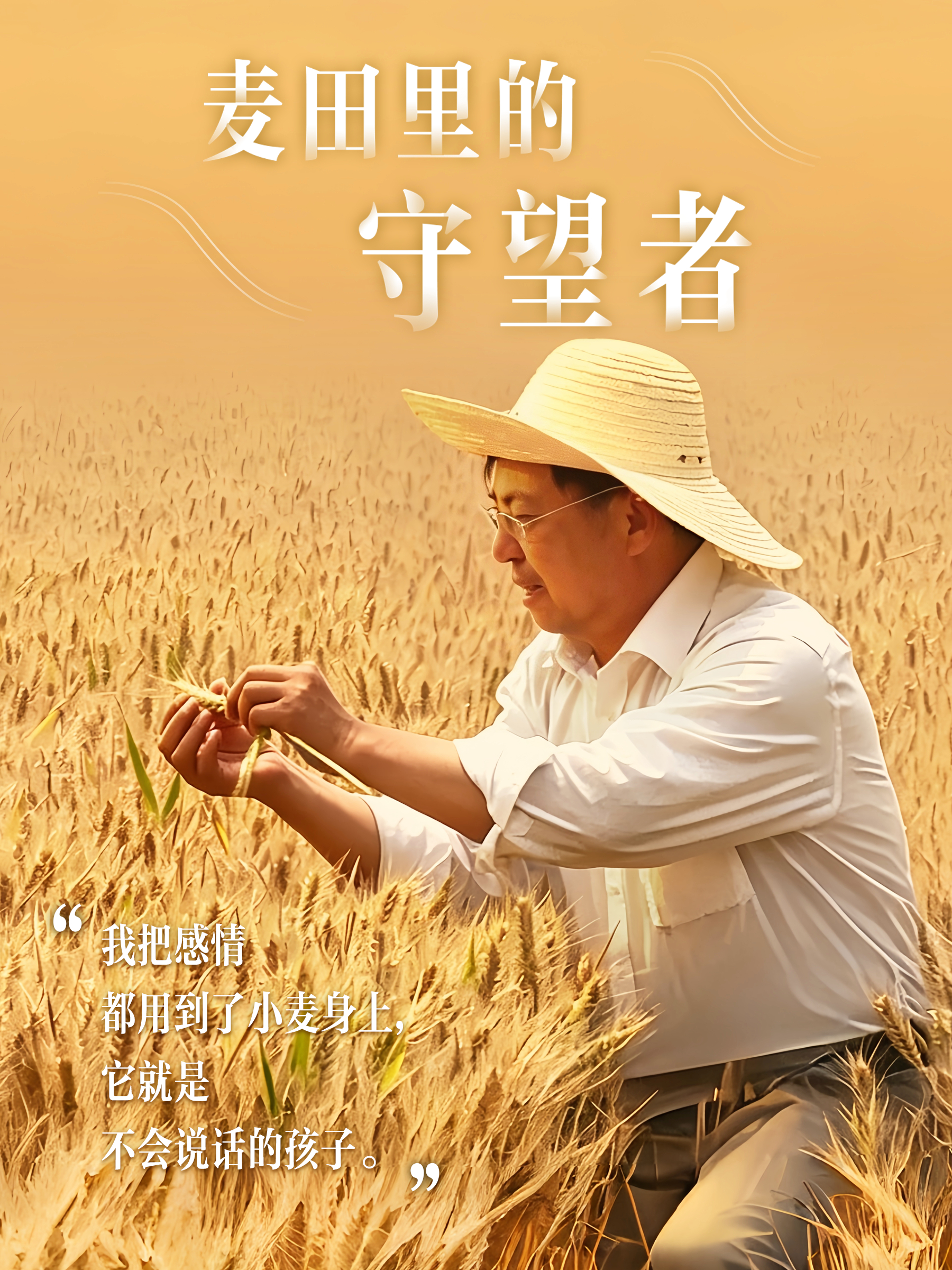 微纪录片|茹振钢:麦田里的守望者