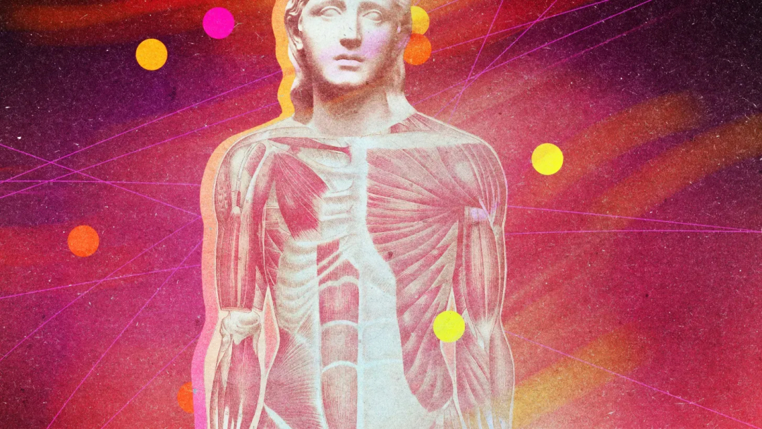 你的直觉不是玄学,是生理学:科学家正在破解身体的内感知系统