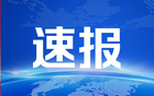 新华视点｜清明赏花文旅热 点燃消费新引擎