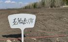 全国首个！广州发布《生鲜连锁企业食品经营管理规范》地方标准