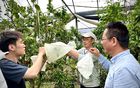 鲁长江主持召开“宿事速办”古塔社区工作站联席会 宿松新闻网