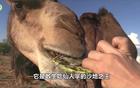 不再谈“痫”色变，不做等“痫”之辈 丨记者手记