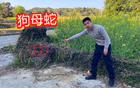 首届太和文明论坛召开 中外专家共商文明发展之道