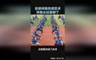 游客吃面获白吃证 一分钟吃43碗哨子面 网友:膜拜【综合】风尚中国网