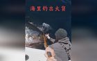 厦门海关今年首次查获来自美国的禁止进口的固体废物