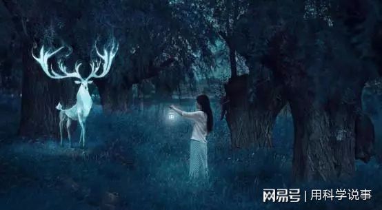 梦境中的守护者，解析梦见杀死很多入侵到家里的人的深层含义