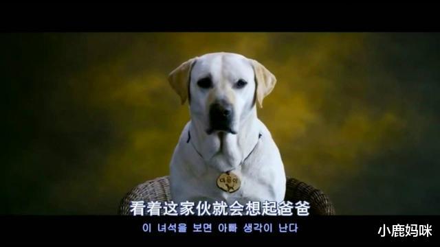 梦境奇缘，梦见狗变成鱼——解密潜意识中的隐喻与象征