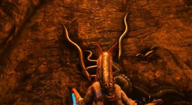 梦境解析，黑色大蜘蛛爬上床——探索内心深处的恐惧与转变