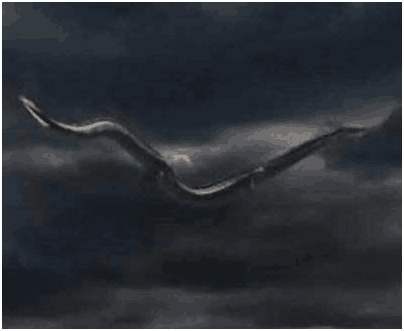 梦境解析，为何梦见蛇咬自己后又被自己杀死？