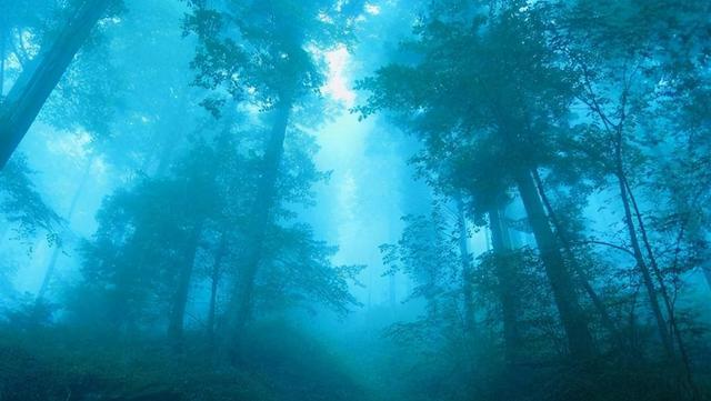 梦境迷雾，解开梦到很多蛇是不好的预兆吗？的神秘面纱