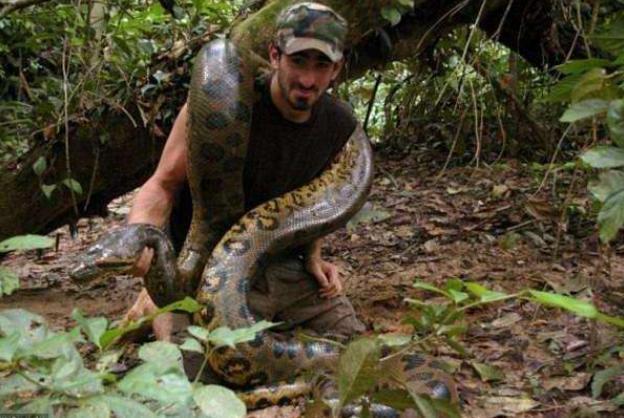 梦见大蟒蛇在家里，男性梦境中的深层象征与解析