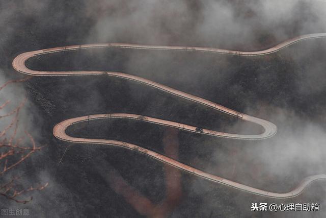 深度解析，男人梦见追赶蛇的象征意义与心理暗示