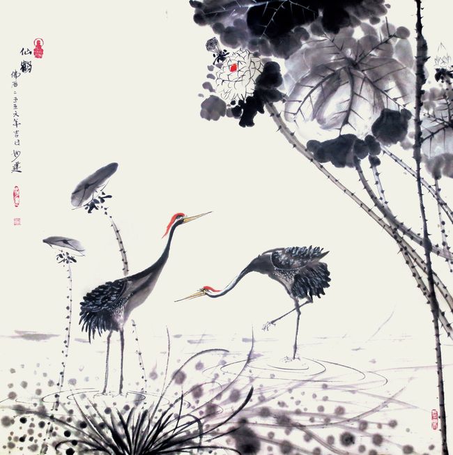 梦境解析，梦见黑仙鹤从天上掉下来