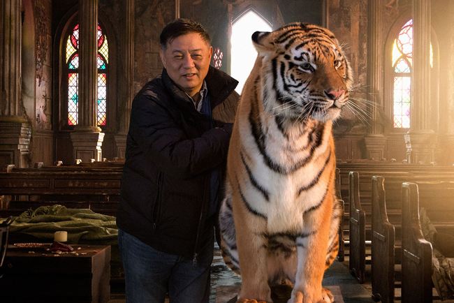 梦见老虎进家里，解梦之旅与心理寓意的深度探索