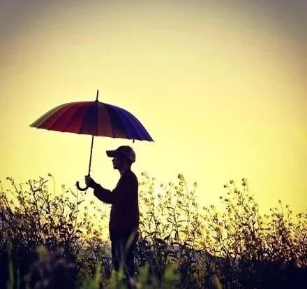 在现实里有点恨一个人，想努力的想忘了一个人，为什么在梦里会梦到跟他？