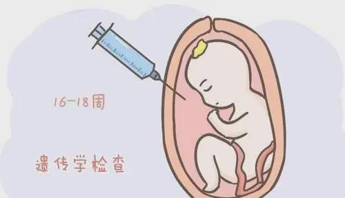 孕妇梦到下面流血，解密孕期梦境中的隐秘信号与心理解析