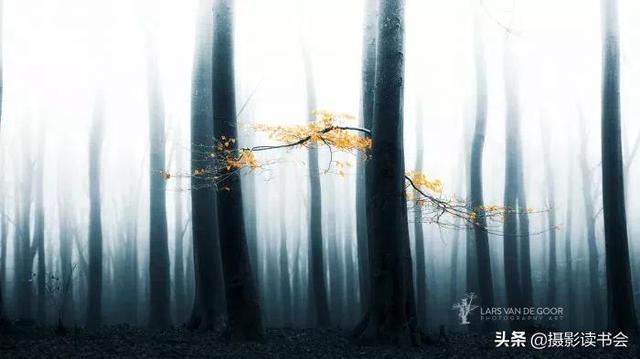 梦的迷雾，大师的智慧之光——解析梦境的奥秘