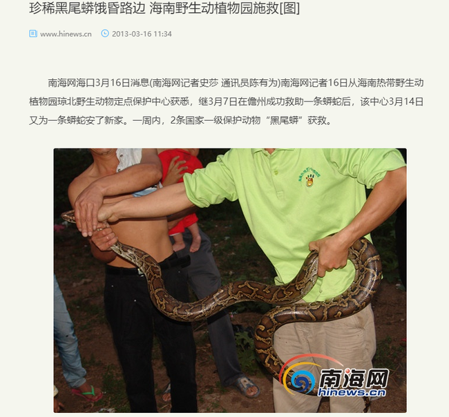 梦境解析，割裂白色大蟒蛇——内心深处的自我探索与释放