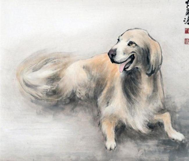 梦境奇遇，梦见家里养了两条会说话的小狗，煞是可爱极其听话