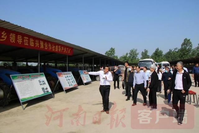 梦境奇遇，在田间偶遇脚鱼，意外遭遇的启示